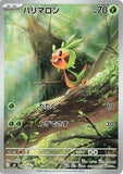 Chespin (AR084) (NS M4)