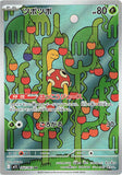 Shuckle (AR064) (MS M1S)