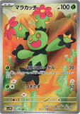 Maractus (AR093) (BB SV11B)