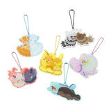 Pokemon Blind Box - Nitamono Doushi Charm Collection Wishlist Break #2