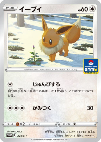 Pokemon Trading Card Game - Eevee Gym 220/S-P Promo Card